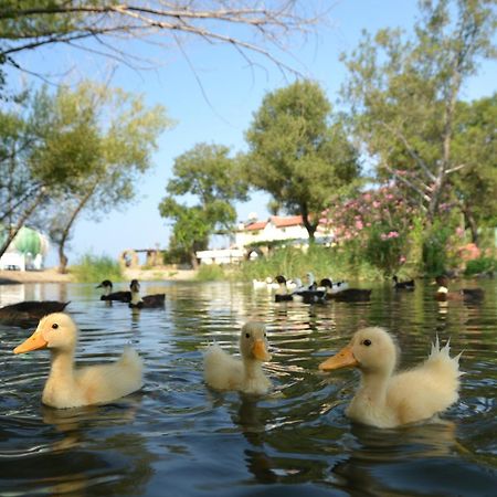 Yonca Lodge Fethiye Eksteriør billede