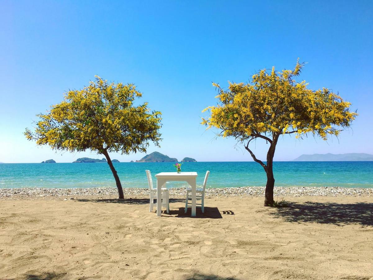 Yonca Lodge Fethiye Eksteriør billede