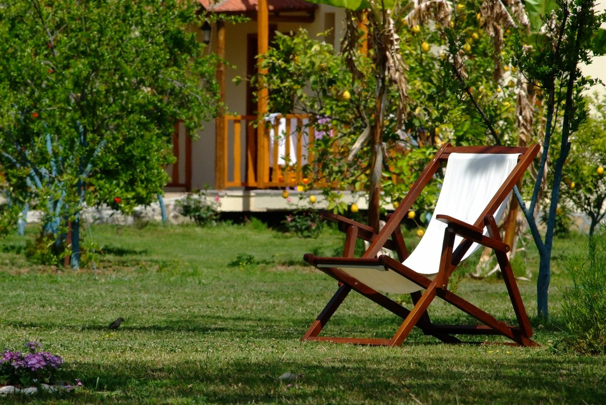 Yonca Lodge Fethiye Eksteriør billede